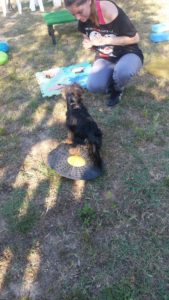gym dog livorno