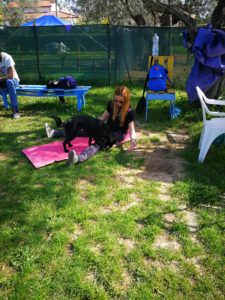 dog gym Livorno