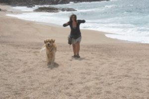 Vacanze con il cane