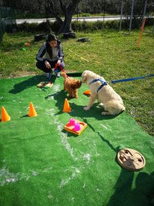 corso di cuccioli livorno